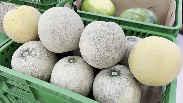 Fresh cantaloupe and muskmelons in market crate close up view