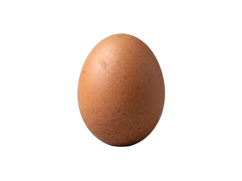 Hyper-realistic fresh brown chicken egg with natural shell texture and subtle imperfections, isolated as a clean food cutout with transparent background.