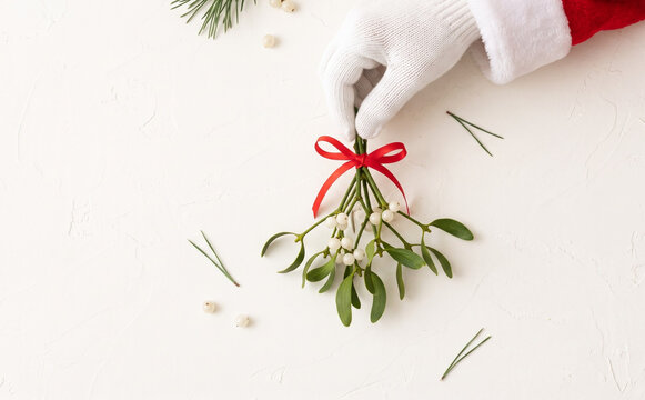 Santa Claus holding a fresh mistletoe branch with white berries and red bow for Christmas celebration