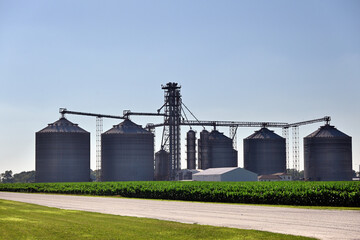 A grain facility located along a lonely highway in northeastern Illinois. The numerous storage silos joined beyond a cornfield house crop grains. © Bruce Leighty