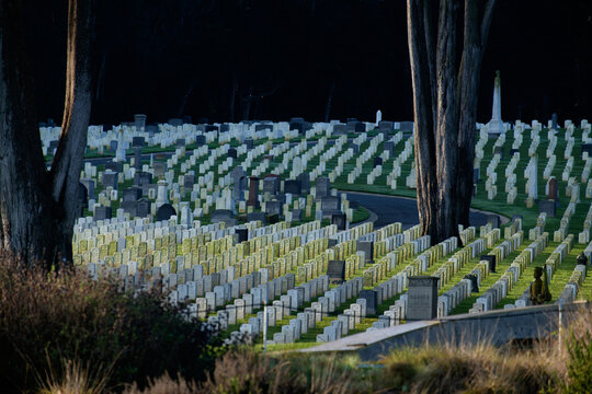 Rows of white headstones at San Francisco National Cemetery in golden evening light. g.
