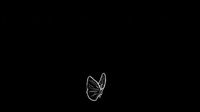 cartoon animation of a butterfly spinning element