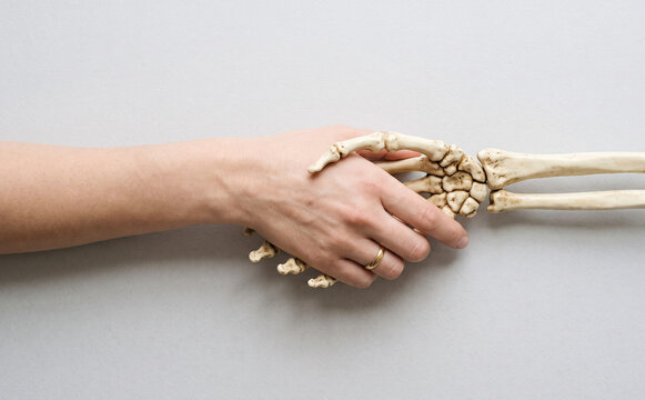 Human hand shaking a skeleton hand conceptual imagery representing mortality and connection
