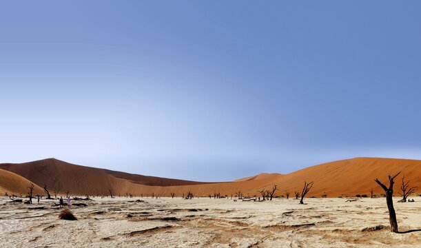 Dead Vlei with the dune Big Daddy in panorama, Sossusvlei, Namibia