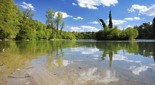 Small island in the Reuss river, beech trees sprouting leaves in spring, Niederwil, Gnadental, Bremgarten district, Canton of Aargau, Switzerland