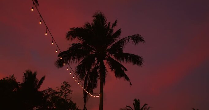 Palm tree silhouette with decorative string lights against flamboyant pink sky at dusk