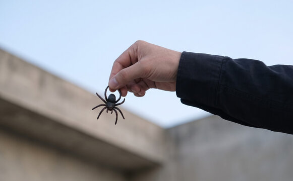 Man holding a small toy spider in hand against sky background representing Halloween theme and trick or treat concept
