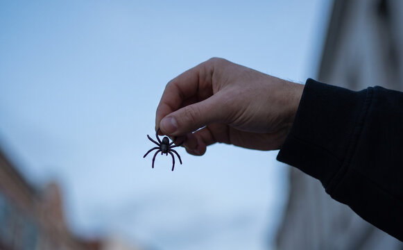 Man holding a small toy spider in his hand outdoors representing Halloween prank and fear