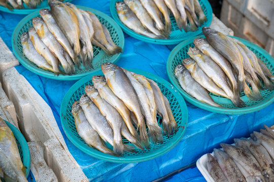 Close up view of fresh yellow croakers stacked in round turquoise baskets at a local traditional seafood market stall.