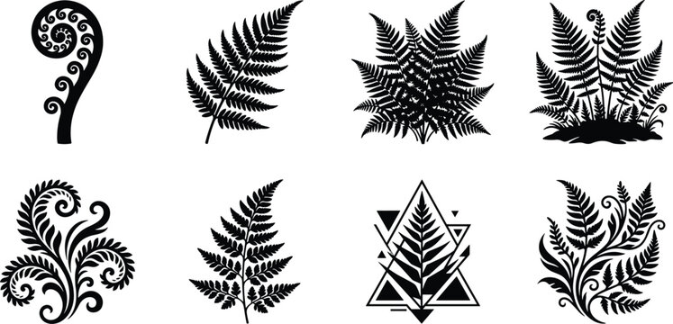Botanical fern leaf illustration set featuring fiddlehead fronds, forest foliage silhouettes, koru motif, and decorative geometric elements