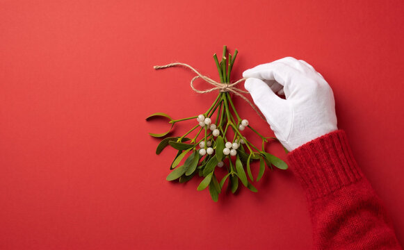 A person in a red sweater and white glove holding a festive mistletoe branch on a red background for Christmas celebration