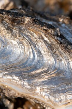 Extreme macro of a naturally layered mineral surface with silvery translucent waves and metallic golden reflections