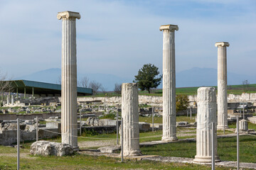 Fototapeta premium Ruins of Ancient Macedonian capital Pella, Greece