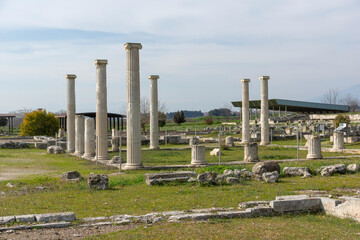 Fototapeta premium Ruins of Ancient Macedonian capital Pella, Greece
