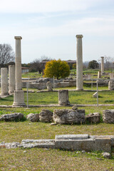 Fototapeta premium Ruins of Ancient Macedonian capital Pella, Greece