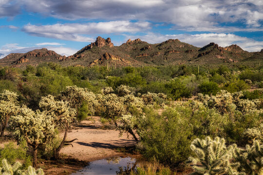 A cloudy desert sky