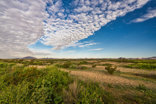 A cloud filled sky