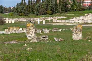 Fototapeta premium Ruins of Ancient Macedonian capital Pella, Greece