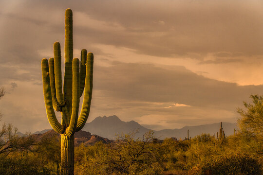 A cloudy desert sky
