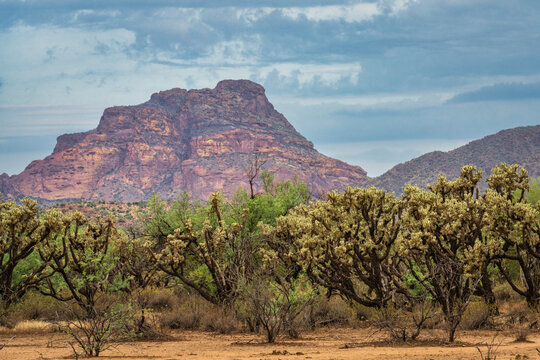A cloudy desert sky