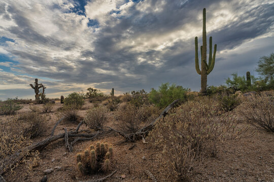 A cloudy desert sky
