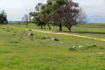 Fototapeta premium Ruins of Ancient Macedonian capital Pella, Greece