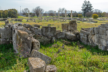 Fototapeta premium Ruins of Ancient Macedonian capital Pella, Greece