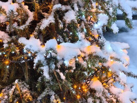 Close-up snow-covered Christmas tree decorated with glowing warm yellow and white fairy lights