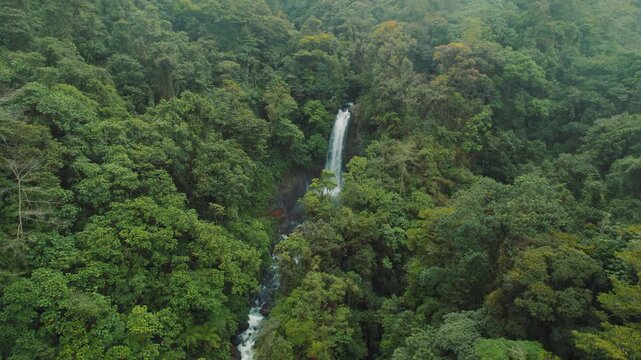 La Paz Waterfall hidden in dense tropical rainforest of lush green Costa Rica