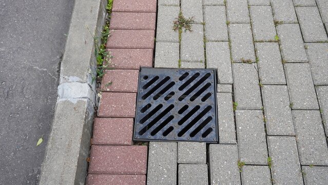 Black drain grate on brick paver sidewalk. Black metal drainage grate installed in gray and red brick paver sidewalk. Concrete curb and asphalt street visible at edge.