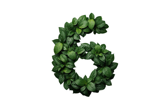 Number 6 formed from dense dark green leaves