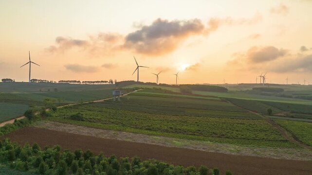 Aerial view of the sunset and windmills over the pineapple sea in Xuwen County, Zhanjiang.