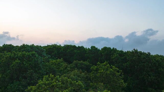 Aerial view of the sunset and windmills over the pineapple sea in Xuwen County, Zhanjiang.