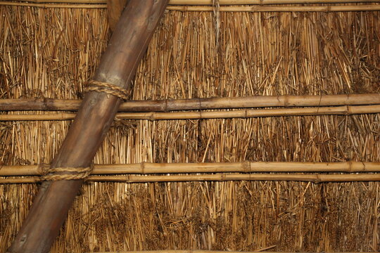 Bamboo framework of a thatched wall