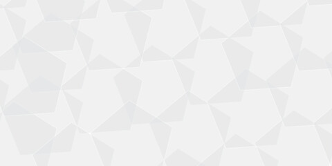 Obraz premium Abstract white and gray gradient paper polygon wallpaper. geometric rectangle overlapping with technology transparent lines. minimal digital triangle concept square space layer template background.