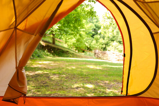 View from inside tent on beautiful forest