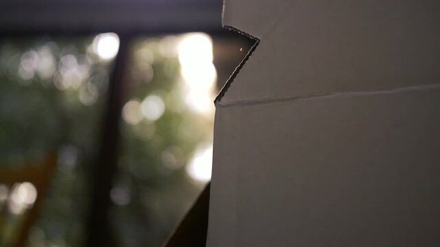  Nostalgia Playhouse Series - Cinematic Sunlight Shining Down on Playhouse 3