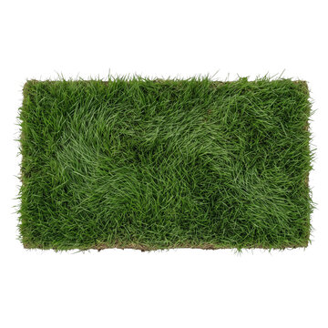Green grass patch isolated on white background. Rectangular sod turf section for landscaping. Lush natural grass carpet for garden design.