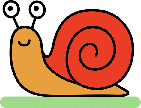 snail on a white