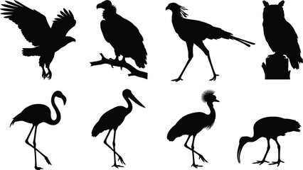 Naklejka premium Black Bird Silhouettes of Eagle Vulture Owl Flamingo Heron and Crane