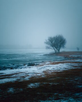 Christmas cinematic fog layers over lake lonely bare tree on frozen lake shore during cold winter day with heavy fog and moody atmosphere