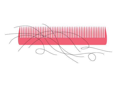Hair Loss in Comb Illustration