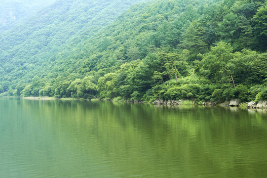괴산호,괴산군,충북