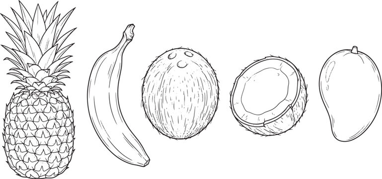 Hand drawn tropical fruit set featuring pineapple banana and coconut in a clean black and white line art style