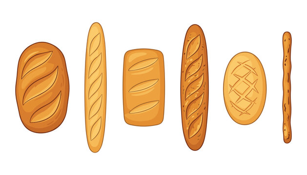 Fresh bakery bread vector set with French baguette loaf and breadsticks for organic food market menu design