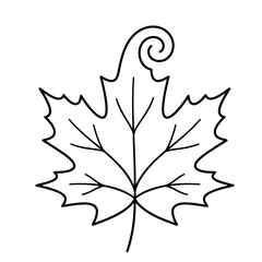 Naklejka premium Outline of a Maple Leaf with a Swirl