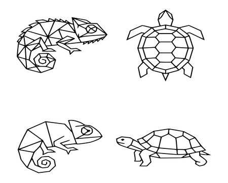 Line art sea turtles and reptiles outline icon sheet