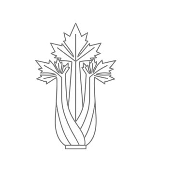 Celery stalks and leaves outline vector