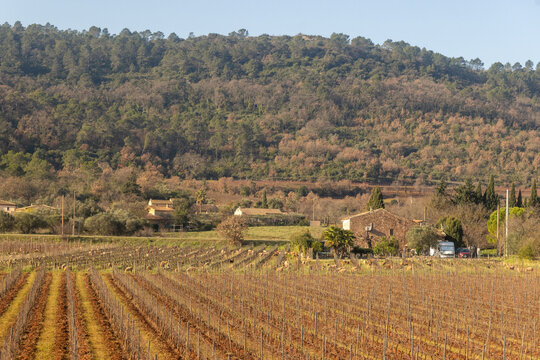 Provence, France &ndash; December 31, 2025: A charming hillside village with warm terracotta roofs overlooks dormant winter vineyards in Mediterranean France.