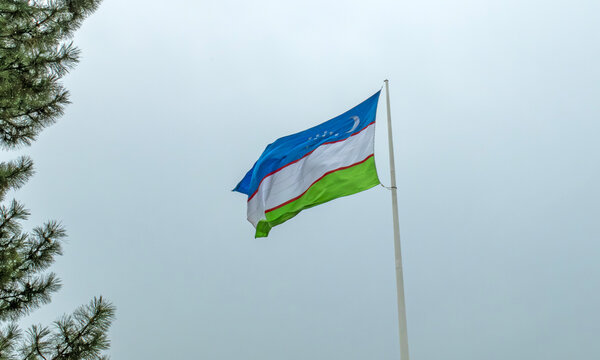 The national flag of Uzbekistan waves on a flagpole on a rainy, overcast day.